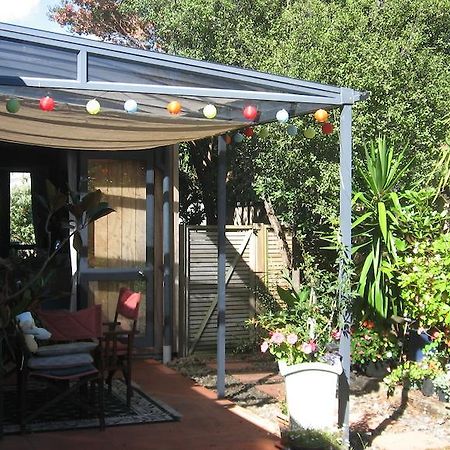 Kotuku Bed & Breakfast Whangamata Zewnętrze zdjęcie
